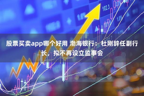 股票买卖app哪个好用 渤海银行：杜刚辞任副行长，拟不再设立监事会
